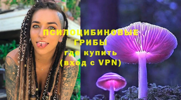ешки Алзамай