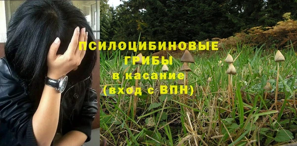 кокс Алексеевка