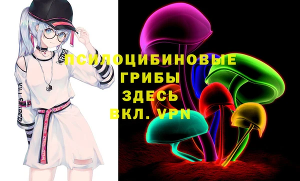 ешки Алзамай