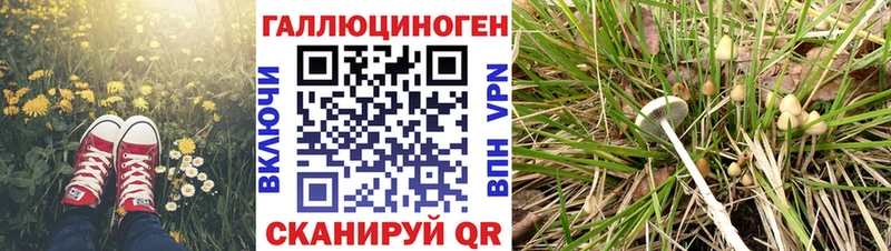 darknet формула  Новороссийск  Псилоцибиновые грибы ЛСД  купить закладку 