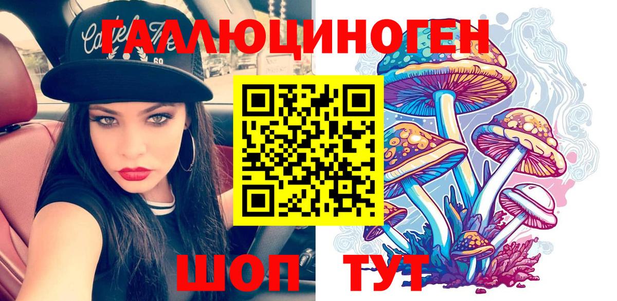 Галлюциногенные грибы Magic Shrooms  Галлюциногенные грибы Psilocybe  как найти наркотики  Новороссийск  Вход с VPN 
